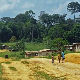 Community Mapping in Gabon
